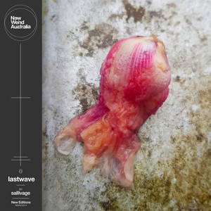 The Boilermaker's Dream