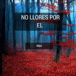 No Llores Por El