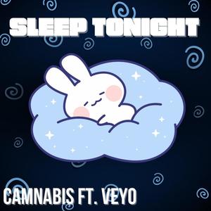 Sleep Tonight (feat. Veyo) (Explicit)