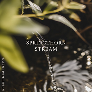 Springthorn Stream