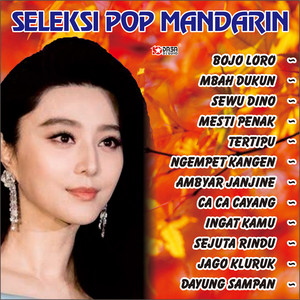 Seleksi Pop Mandarin