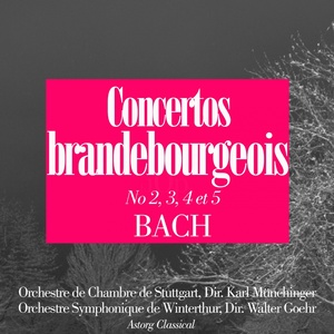 Orchestre de chambre de Stuttgart - Brandenburg Concerto No. 3 In G Major, Bwv 1048 - I Allegro