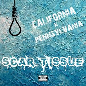 California x Pennsylvania (Explicit)