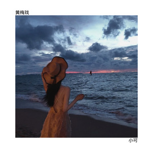 寄明月 (Remix)