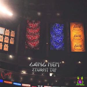 Gang Nem' (Explicit)