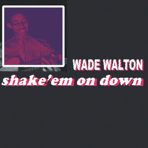 Shake 'em on Down (Remastered Version)