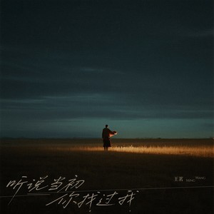 听说当初你找过我 (温柔苦情版)