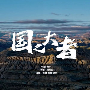 杨乐 - 国之大者