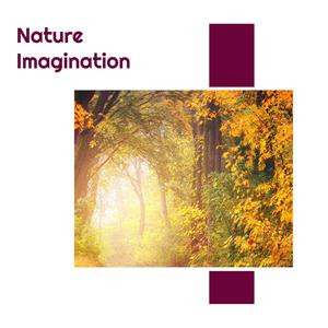 Nature Imagination