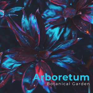 Arboretum Botanical Garden: Sounds of Nature with Relaxing Music, Recorded for Relaxation, Stress Reduction, Rest, Spa, Massage, Bath, Sleep, Therapy