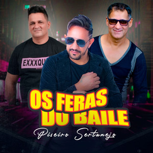 Piseiro Sertanejo