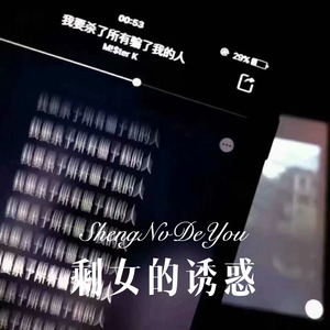 丢了爱情怎么走 (Remix)