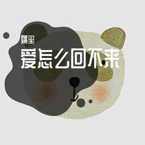 爱怎么回不来封面