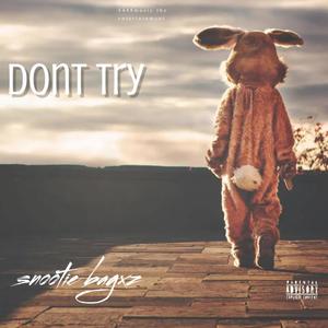 Dont try (feat. QueGee) (Explicit)
