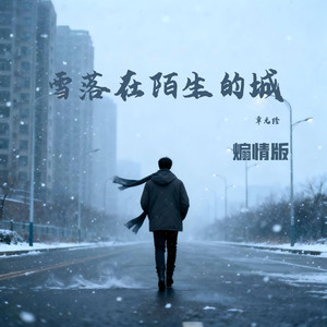 雪落在陌生的城 (煽情版伴奏)