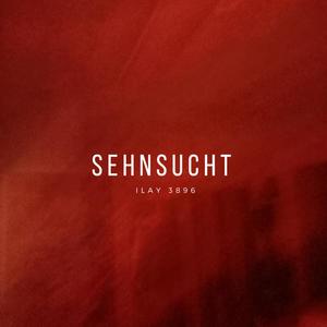 Sehnsucht (Explicit)