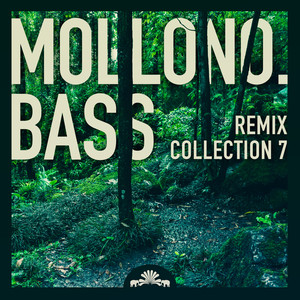 Mollono.Bass Remix Collection 7