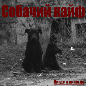 Собачий кайф