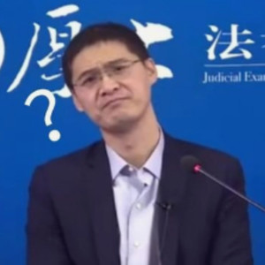 张三家狗跑出来见人就咬，我把狗踹死，狗值30 万 (DJ长音频)封面