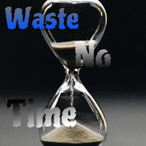 Waste No Time (feat. Flex_S.o.S)