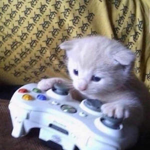 swaggstyle#1 (Explicit)