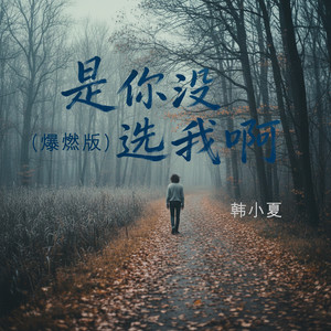 是你没选我啊