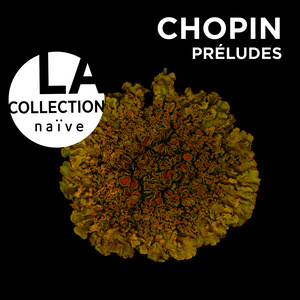 Grigory Sokolov - Prelude No 5 in D Major, Op. 28: Allegro molto