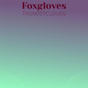 Foxgloves Thunderclouds