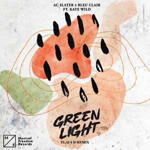 Green Light (feat. Kate Wild) (Flava D Extended Remix)