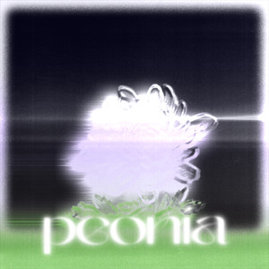 peonia