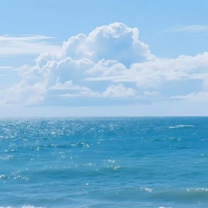 泪海 (弹唱版)