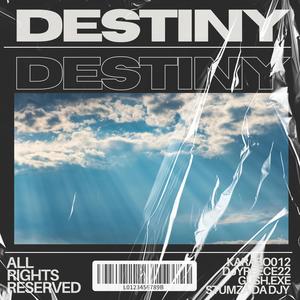 Destiny (feat. guSh.eXe ft stumza da Djy ft Djy reece 22)