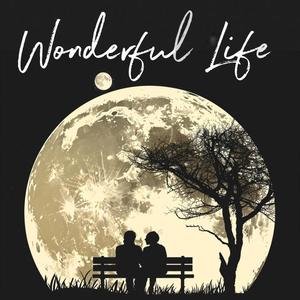 Wonderful Life (feat. Juliet Nagaeva)