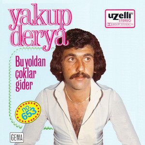 Bir Yiğit Gurbete Gitse