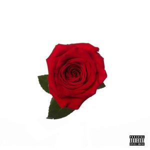 rose (Explicit)