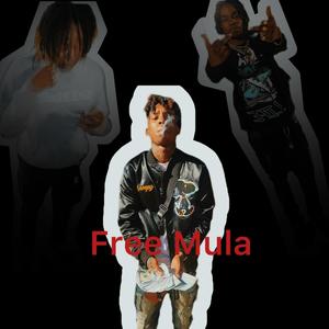 FreeMula (Explicit)