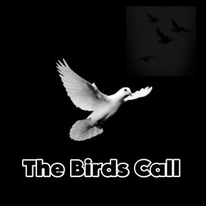 The Birds Call