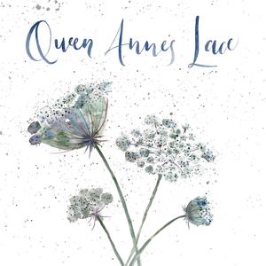 Queen Anne's Lace (Explicit)