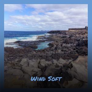 Wind Soft封面