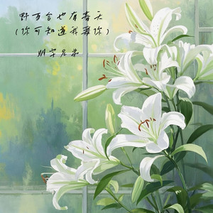 野百合也有春天（你可知道我爱你）