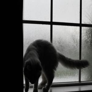 everytime i need you, youre not there