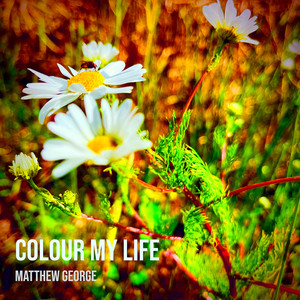 Colour My Life