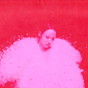 I Don't Wanna Let You Go