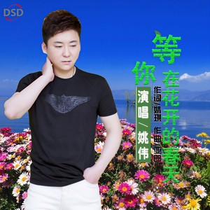 等你在花开的春天封面