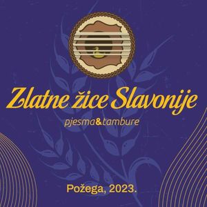 Što Stariji Sve Sam Luđi