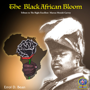 The Black African Bloom