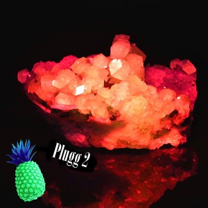 Plugg 2 (Explicit)