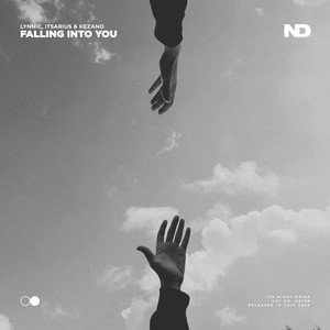 Falling Into You (Extended Mix)