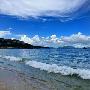 搞钱的男人风生水起