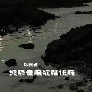 纯嗨音响坑得住吗